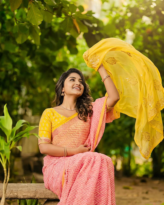 Cotton Linen Abstract Print saree