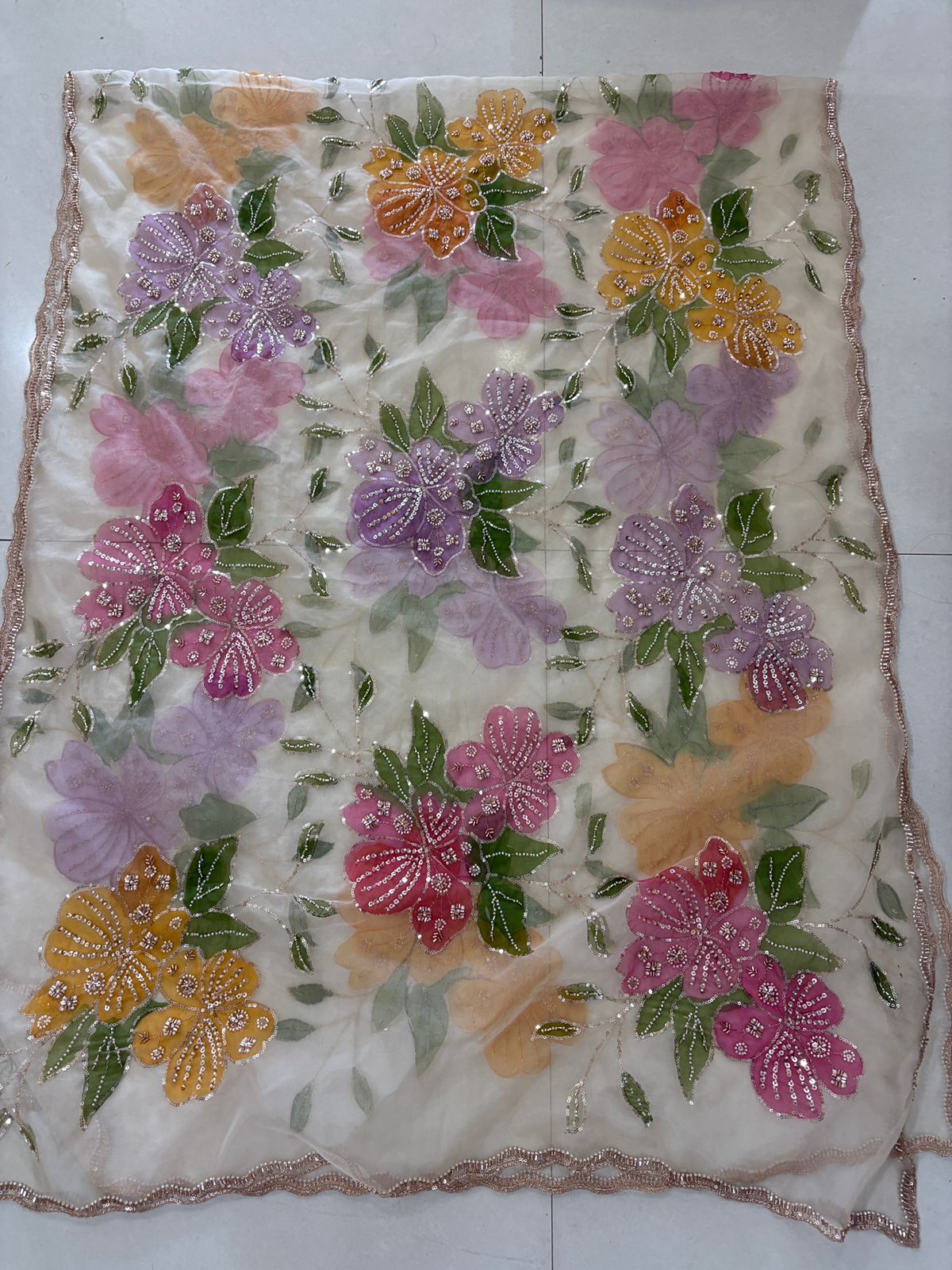 Organza hand painted hand work dupatta