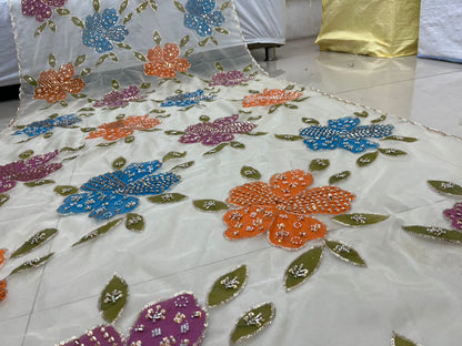 Organza hand painted hand work dupatta