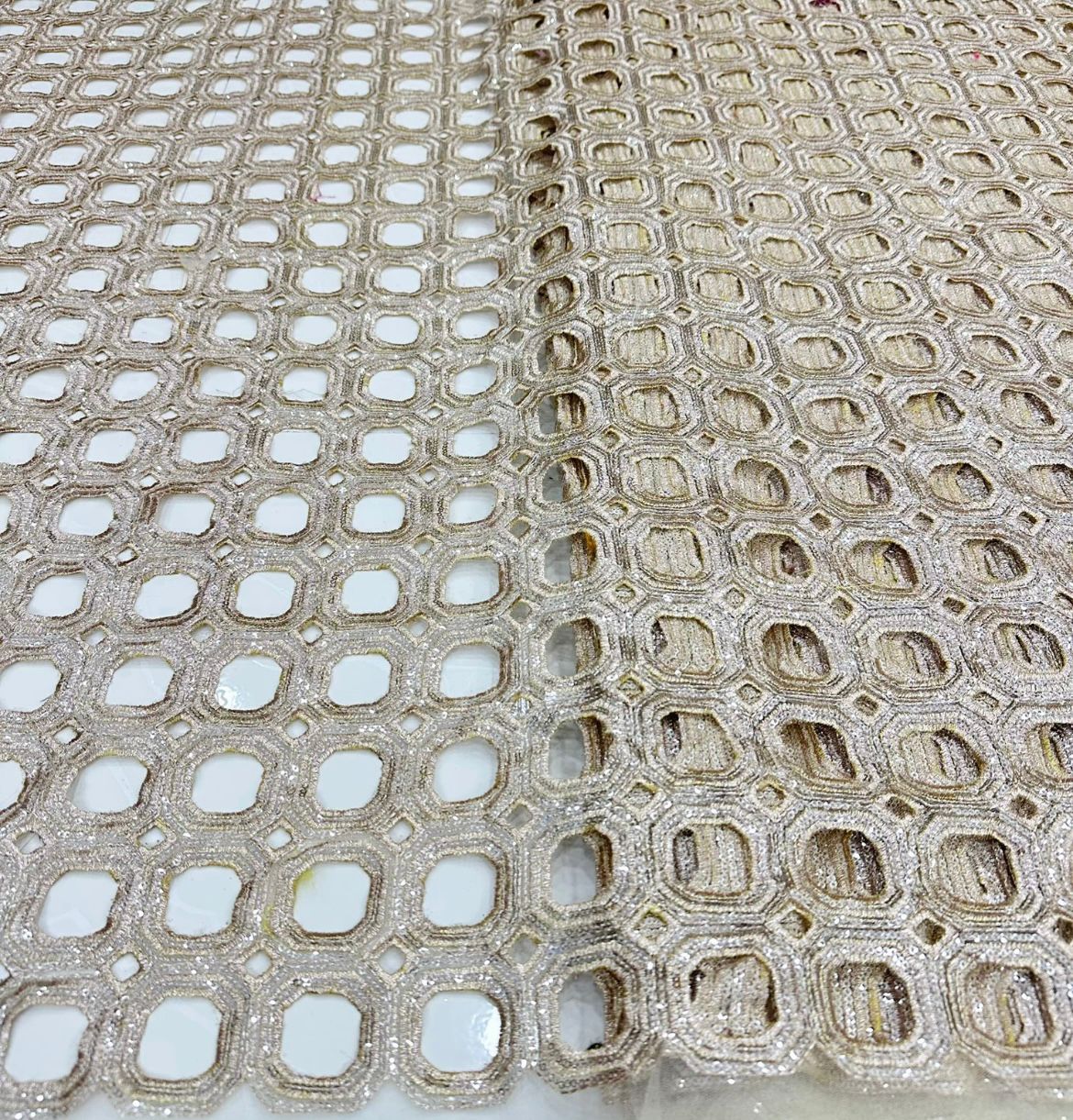 Sequins cutwork embellished dupatta