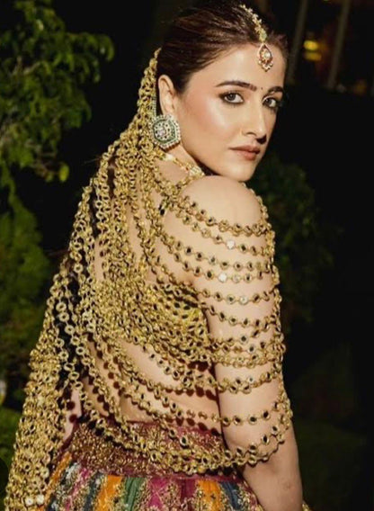 Sheesh Mirror Blouse/Corset/Dupatta fabric