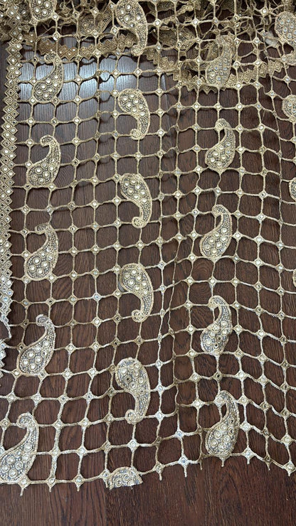 Trending Sheesh mirror dupatta Paisely
