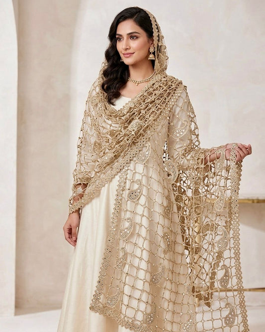 Trending Sheesh mirror dupatta Paisely